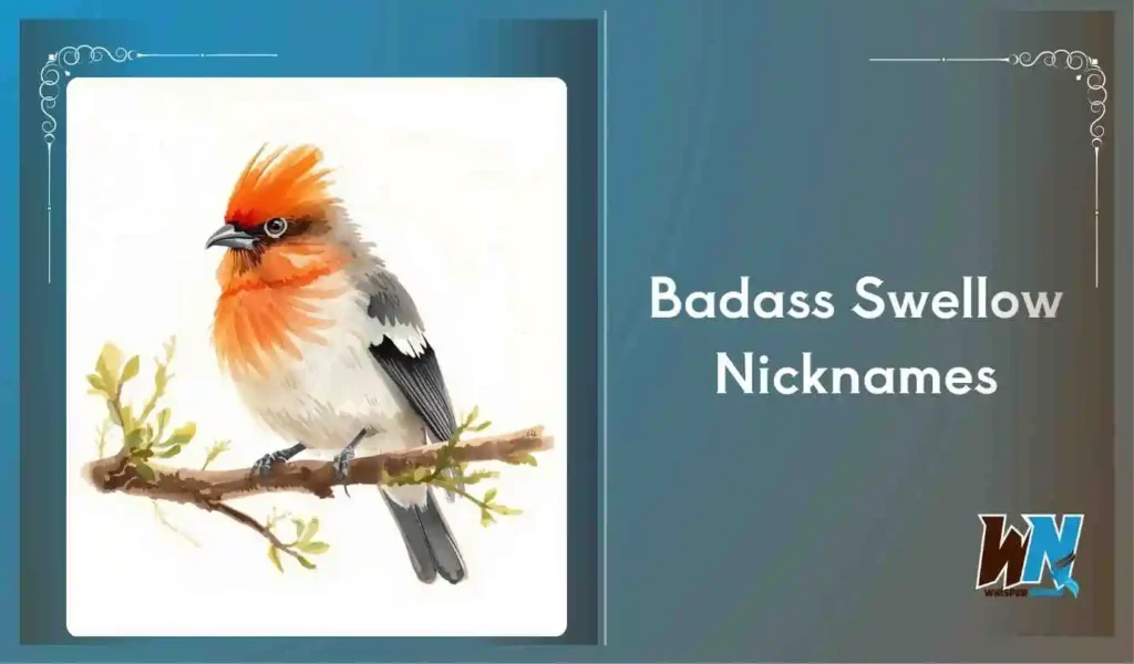 Badass Swellow Nicknames
