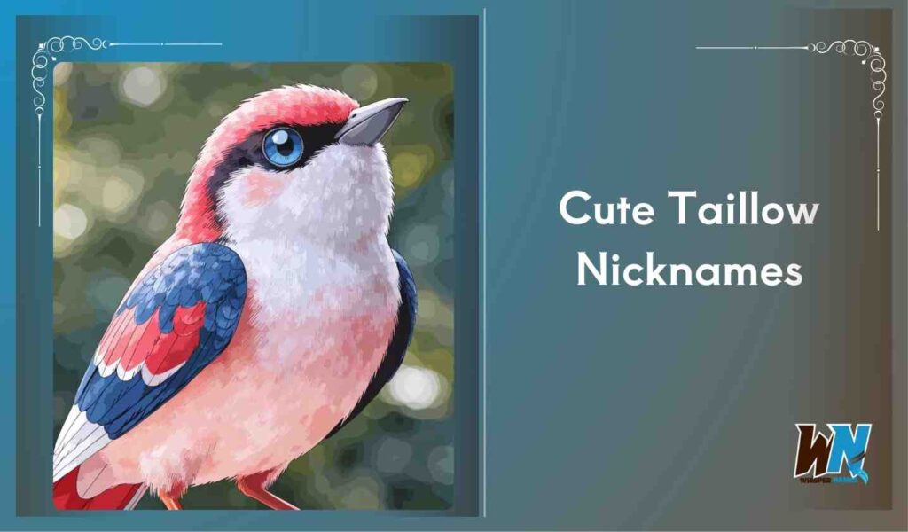 Cute Taillow Nicknames