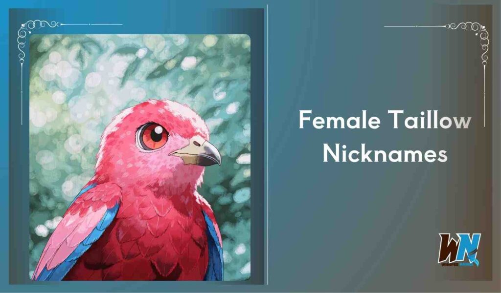 Female Taillow Nicknames