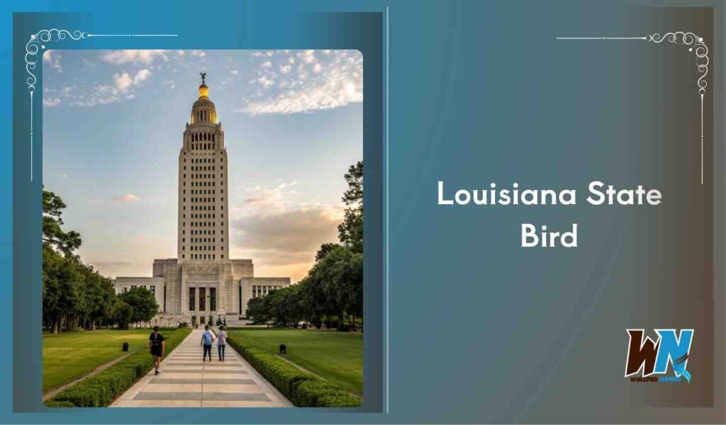 Louisiana State Bird