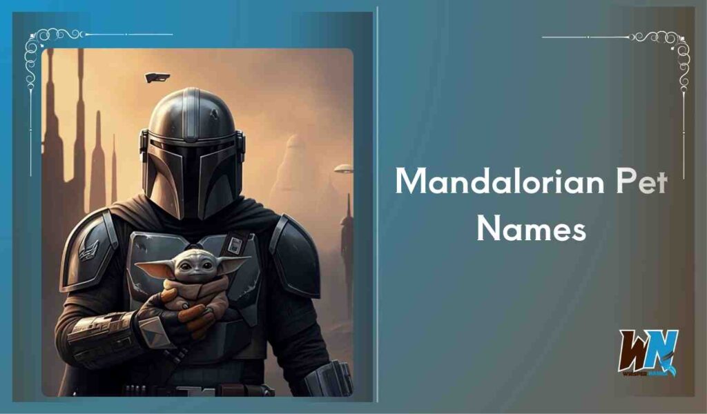 Mandalorian Pet Names
