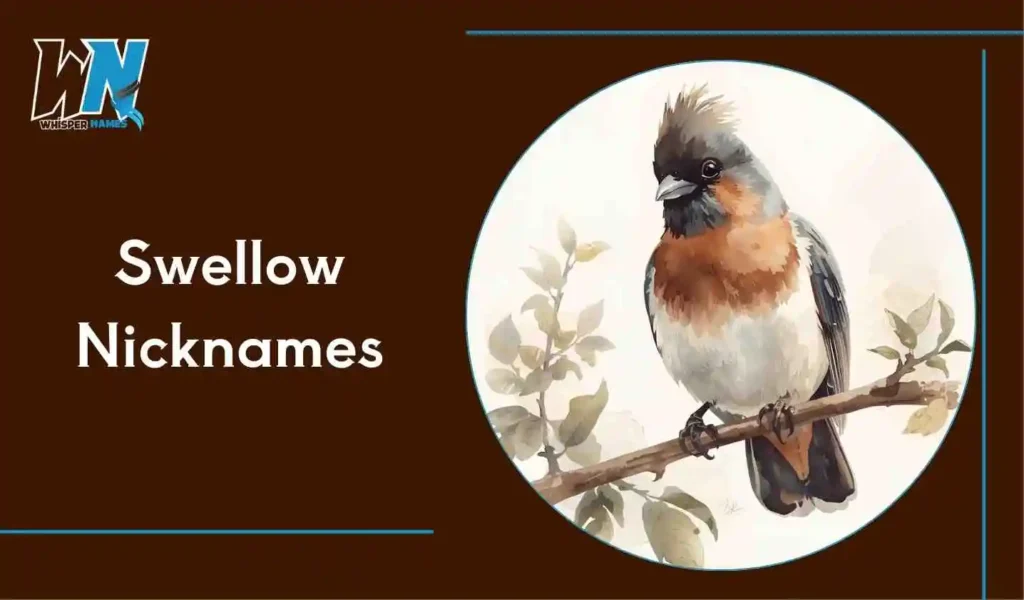 Swellow Nicknames