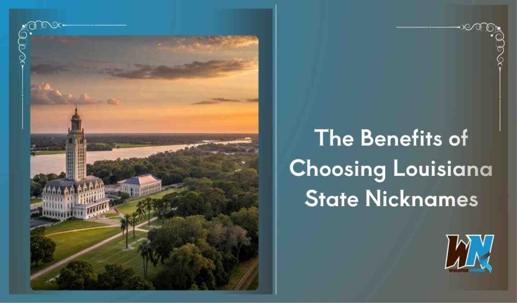 The Benefits of Choosing Louisiana State Nicknames