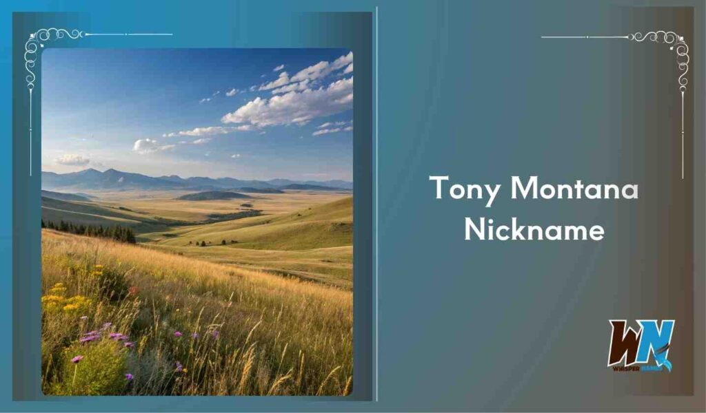 Tony Montana Nickname