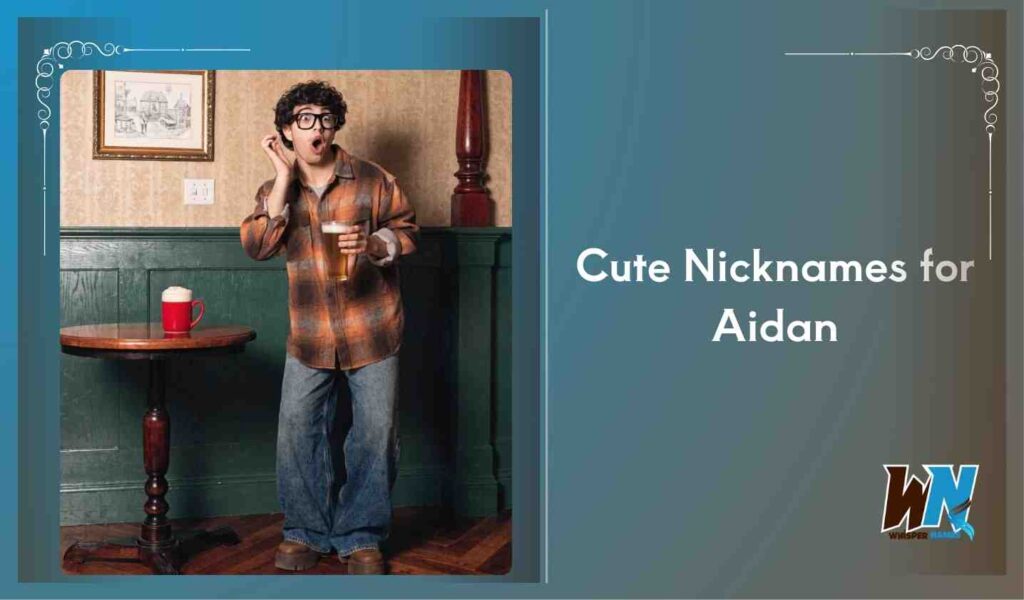 Cute Nicknames for Aidan
