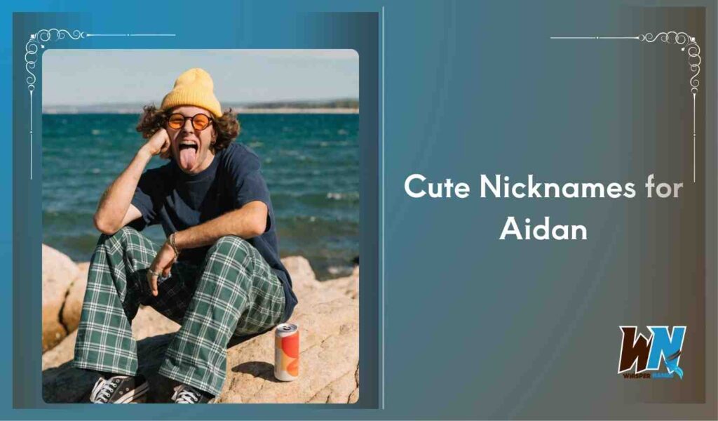 Cute Nicknames for Aidan