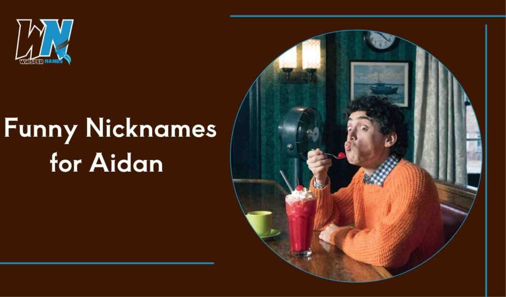 Funny Nicknames for Aidan