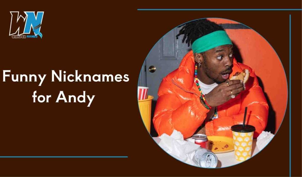 Funny Nicknames for Andy