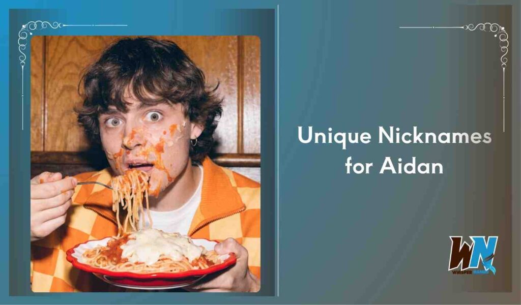 Unique Nicknames for Aidan