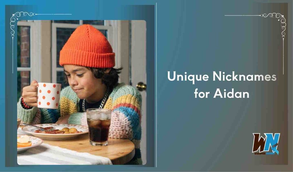 Unique Nicknames for Aidan