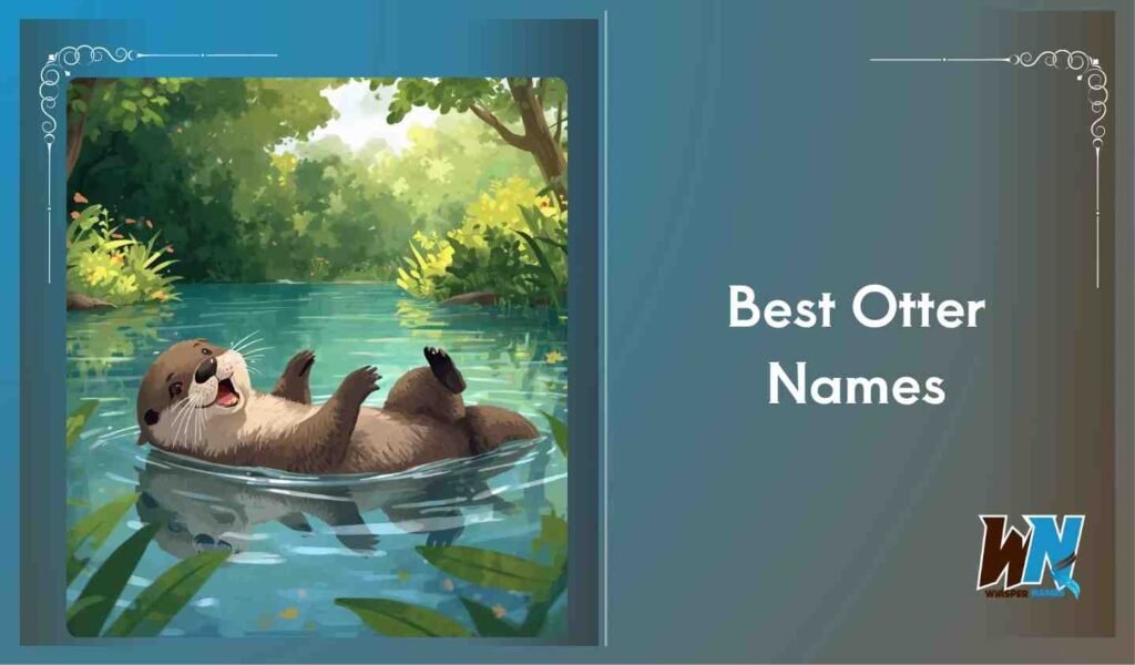 Best Otter Names