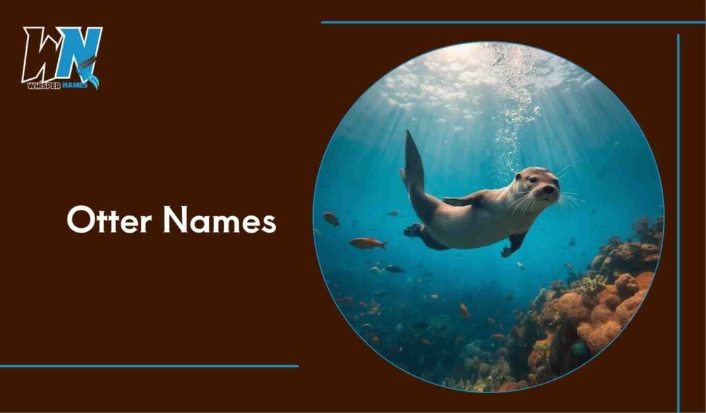 Otter Names